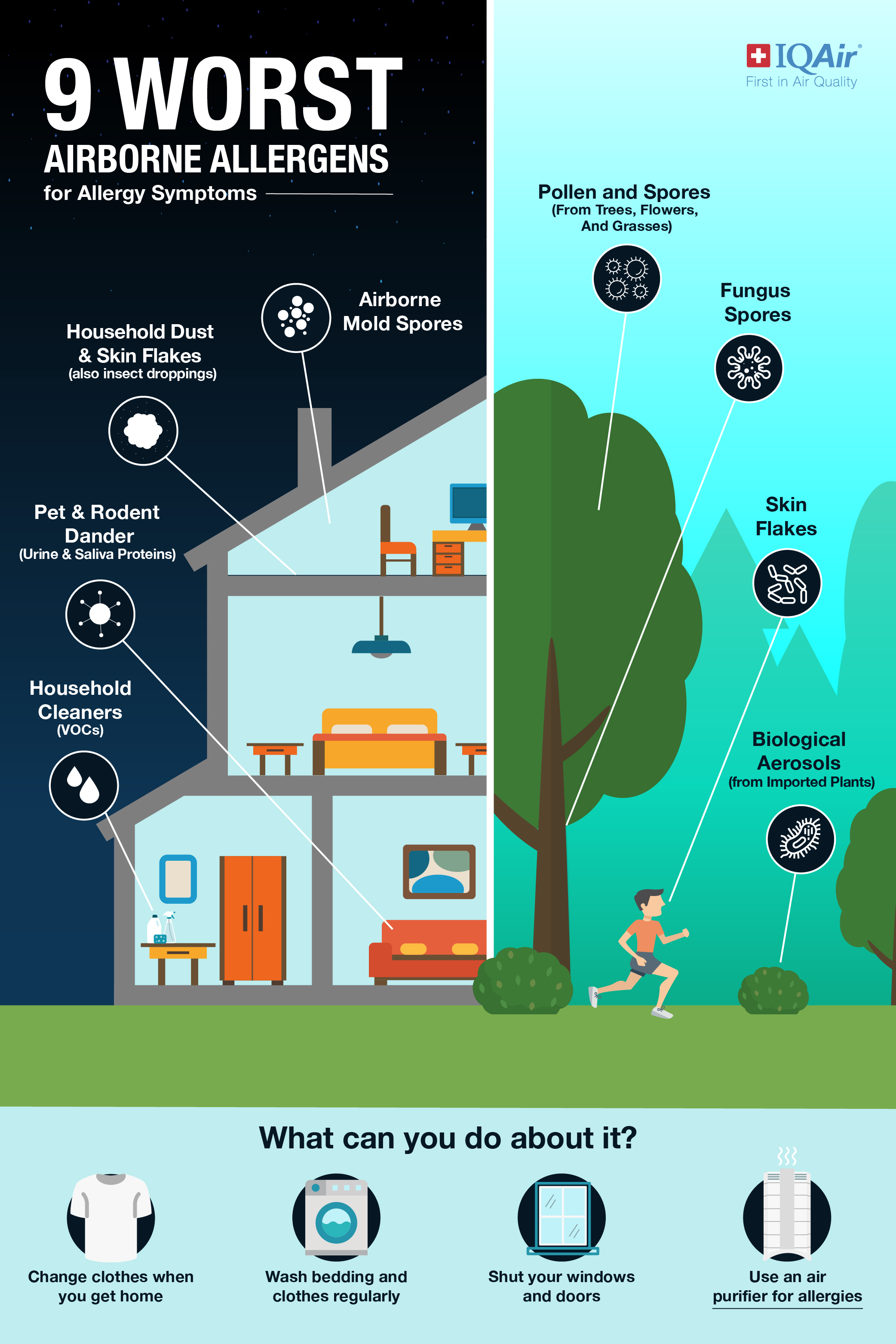 Allergens Infographic